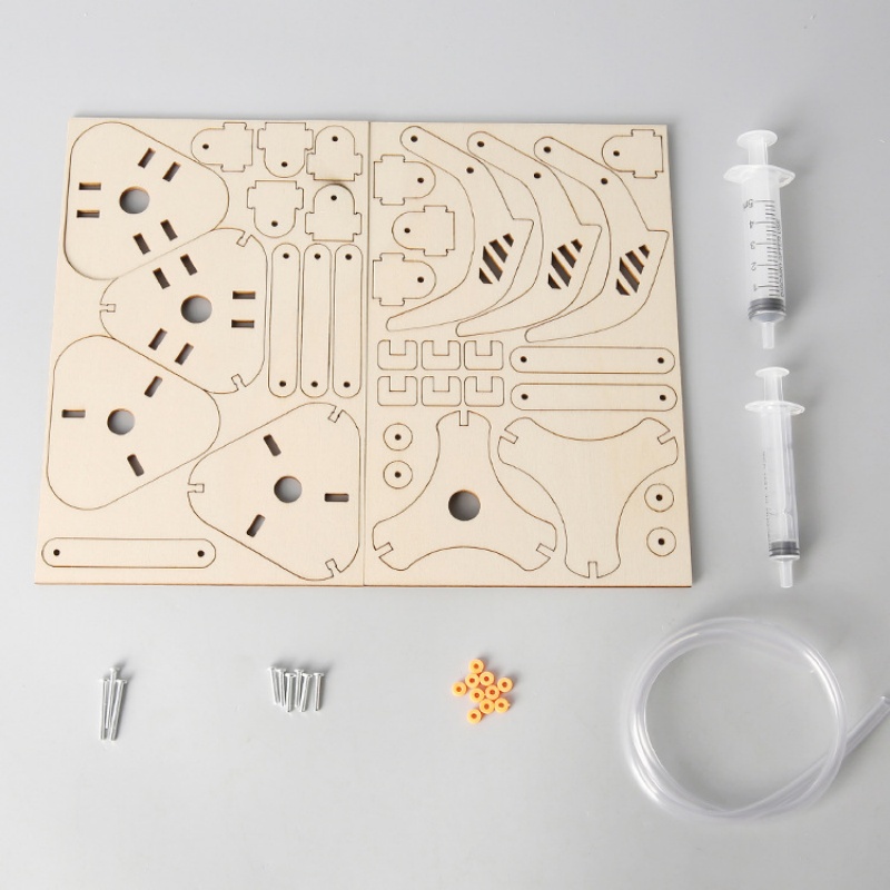 Zestaw do samodzielnego montaż – Science Project Kit recenzja i cena